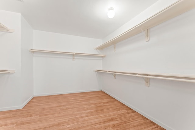 spacious closet featuring light hardwood / wood-style flooring