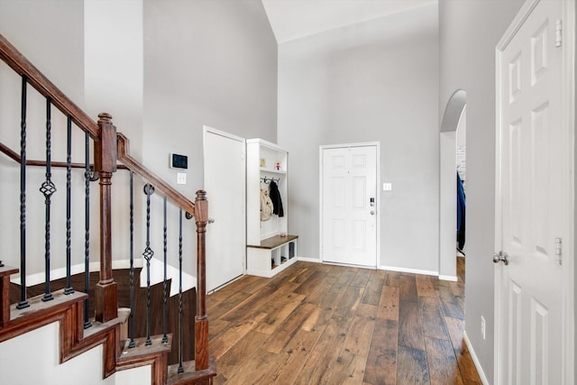 entrance foyer featuring a towering ceiling and dark wood-type flooring