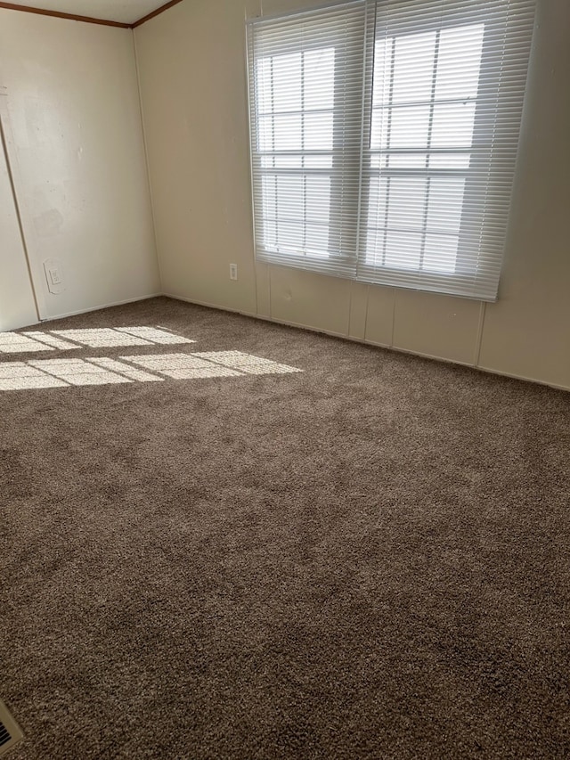 unfurnished room with carpet