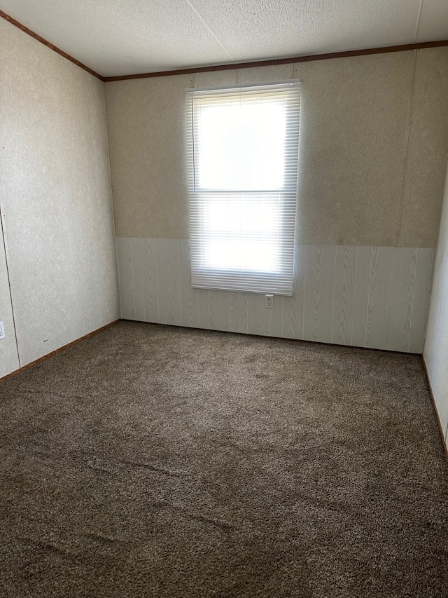 spare room with crown molding, carpet, and a textured ceiling