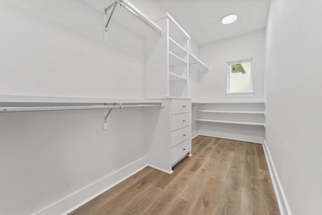 spacious closet featuring light hardwood / wood-style flooring