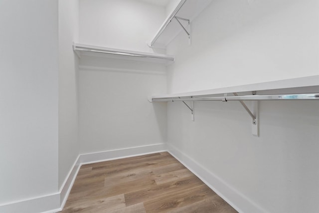 spacious closet with light wood-type flooring