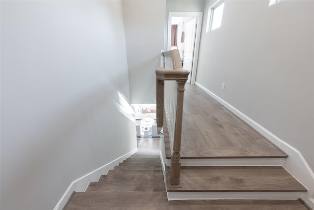 stairs with hardwood / wood-style flooring