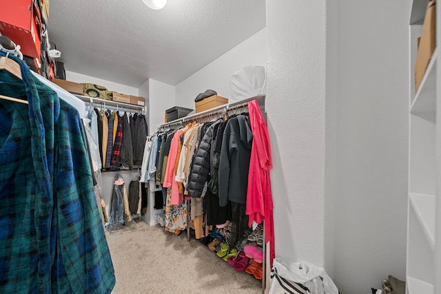 walk in closet with carpet