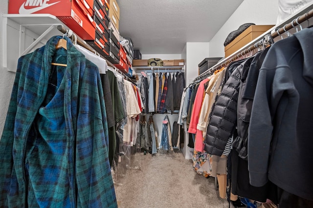 spacious closet featuring carpet flooring