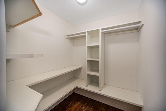 spacious closet featuring dark wood-type flooring