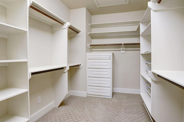 view of spacious closet