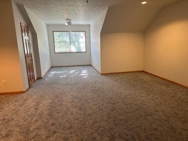 additional living space featuring lofted ceiling, carpet flooring, and a textured ceiling