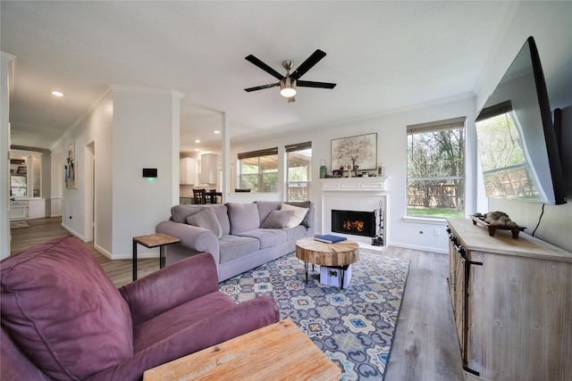 living room with hardwood / wood-style floors, crown molding, and ceiling fan