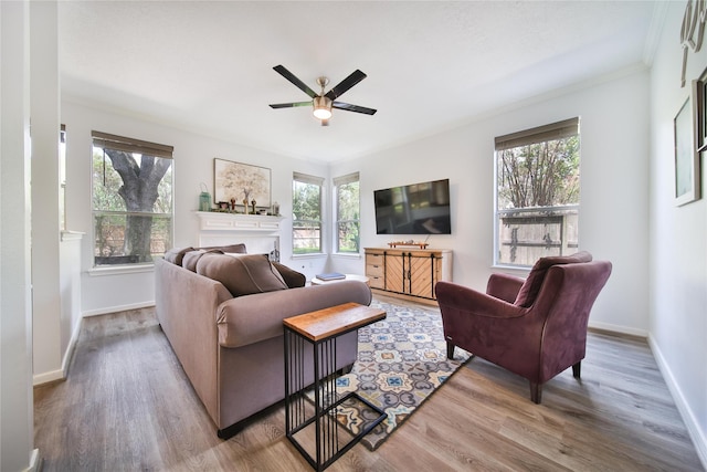 living room with wood-type flooring and ceiling fan