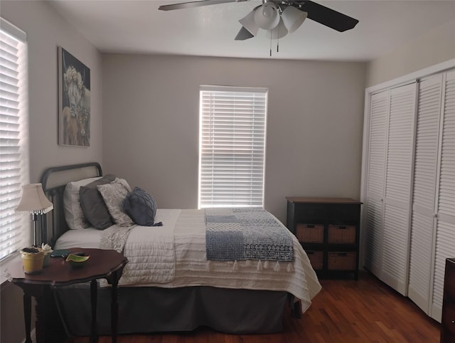 bedroom with dark hardwood / wood-style flooring, a closet, and ceiling fan