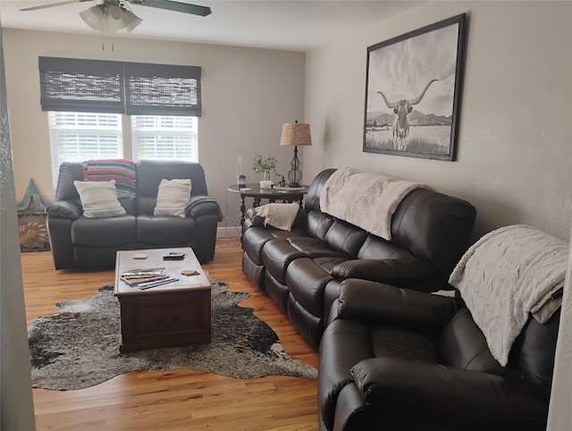 living room featuring ceiling fan and light hardwood / wood-style flooring