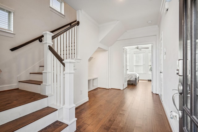 entryway with hardwood / wood-style flooring, crown molding, and ceiling fan