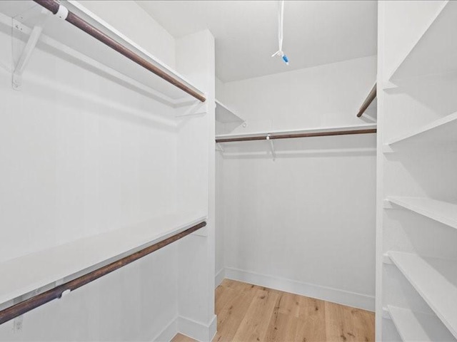 spacious closet featuring light wood-type flooring