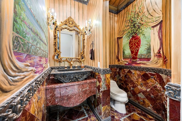 bathroom with sink and toilet