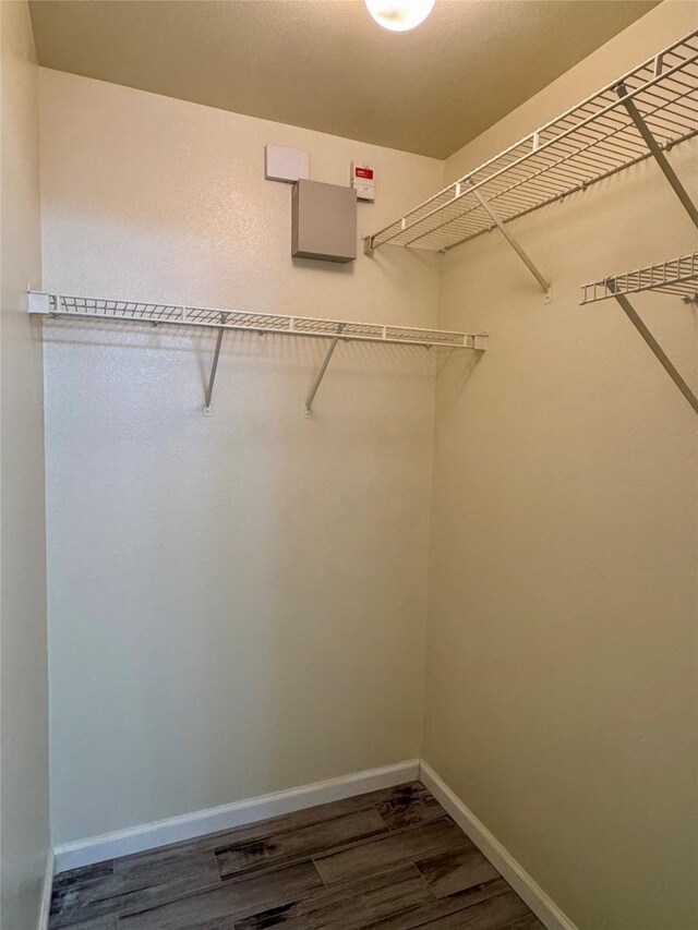 spacious closet featuring dark wood-type flooring