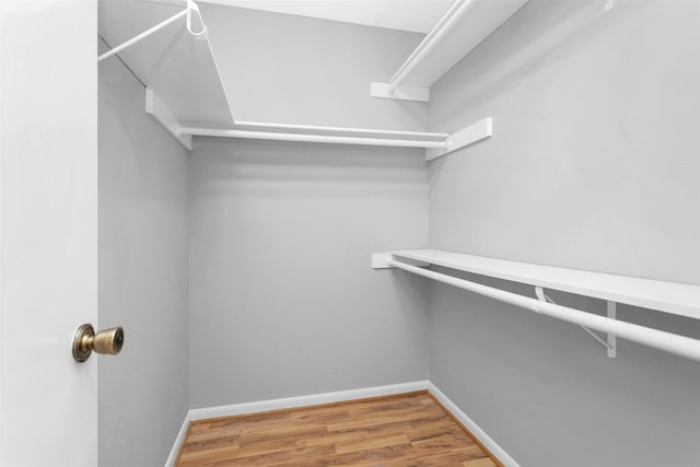 spacious closet featuring hardwood / wood-style flooring