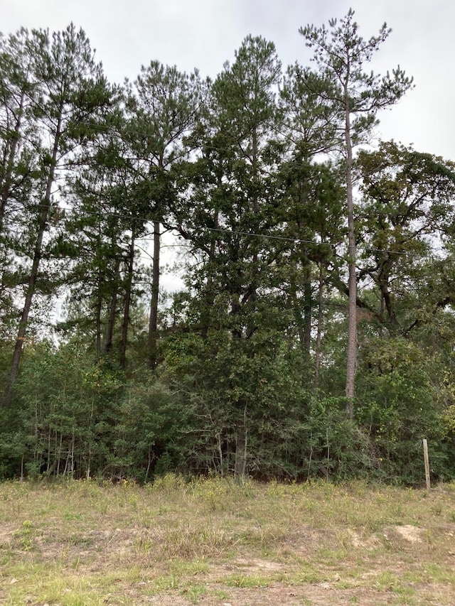 16596 Camelia Ln, Plantersville, TX 77363