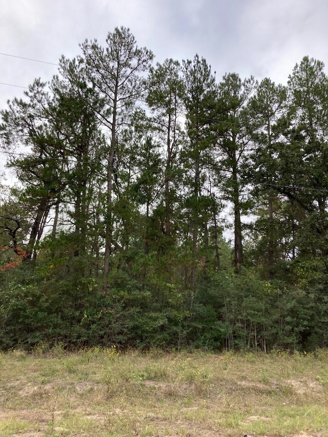 16596 Camelia Ln, Plantersville, TX 77363