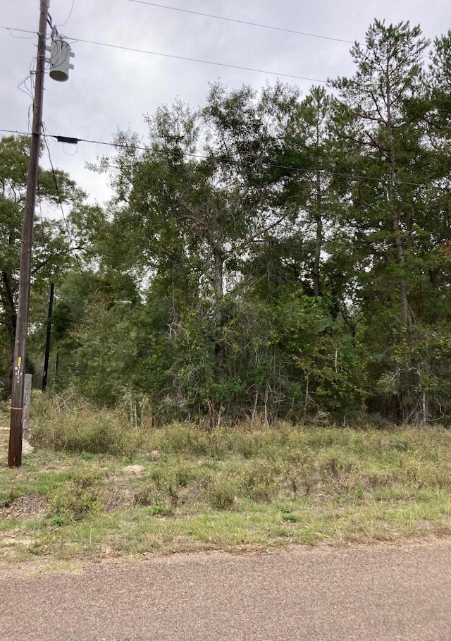 16596 Camelia Ln, Plantersville, TX 77363