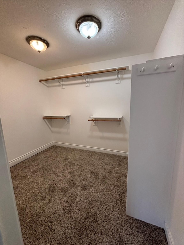 spacious closet with dark carpet