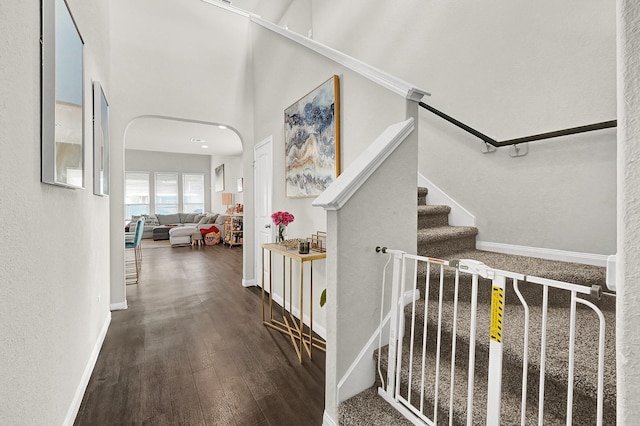 staircase featuring hardwood / wood-style flooring