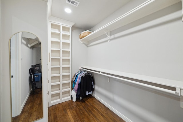 spacious closet featuring dark wood-type flooring