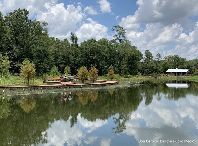 324 Neyland St, Houston, TX 77022 - water view with a heavily wooded area