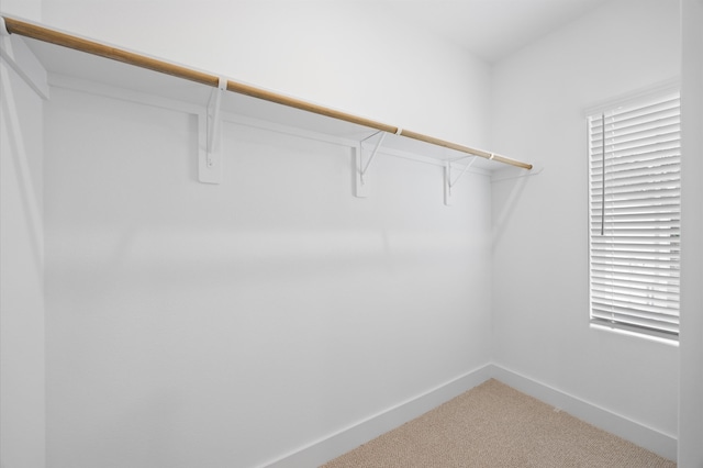 324 Neyland St, Houston, TX 77022 - spacious closet with carpet floors