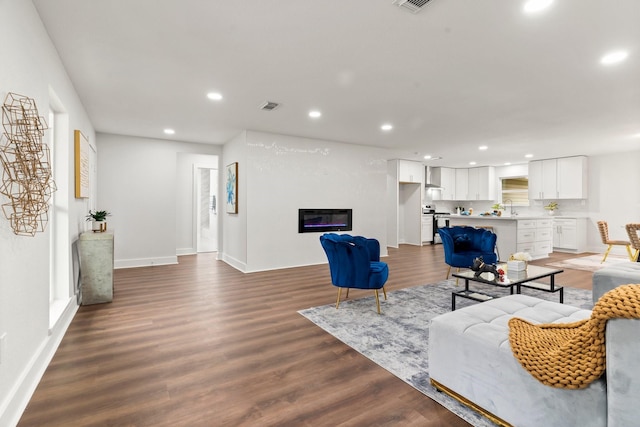 living room featuring sink and dark wood-type flooring