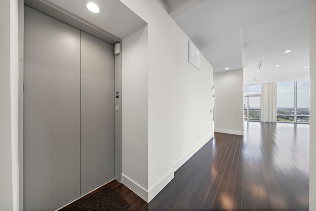 corridor featuring expansive windows, elevator, and dark hardwood / wood-style floors