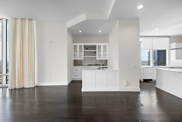 unfurnished living room featuring dark hardwood / wood-style flooring and sink