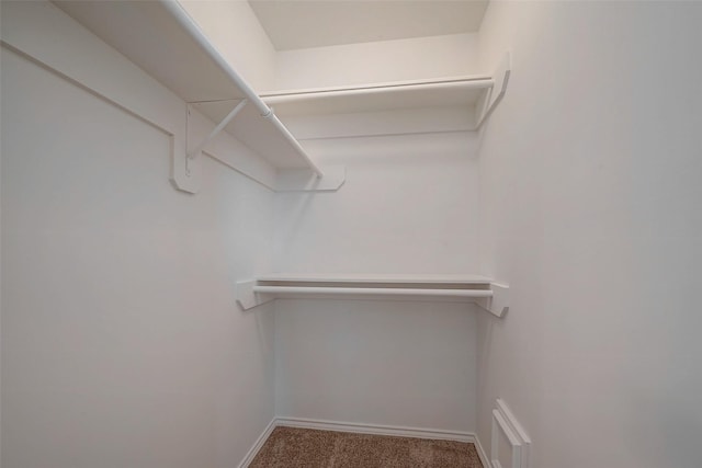 spacious closet with carpet flooring