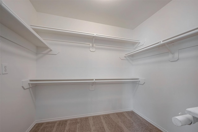 walk in closet featuring carpet flooring