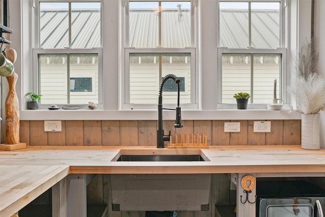 interior details featuring sink and wooden counters