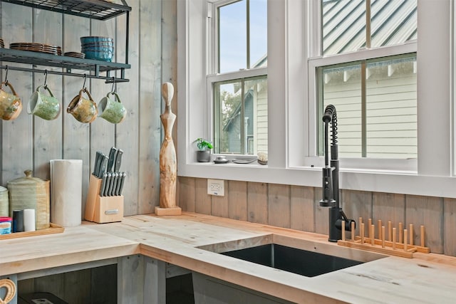 interior details featuring sink and wood walls