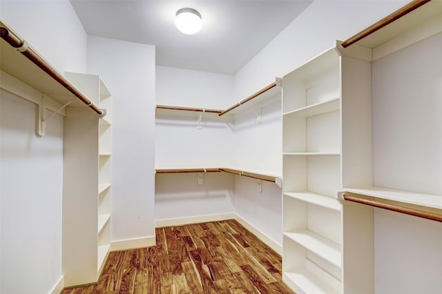 spacious closet featuring dark hardwood / wood-style flooring