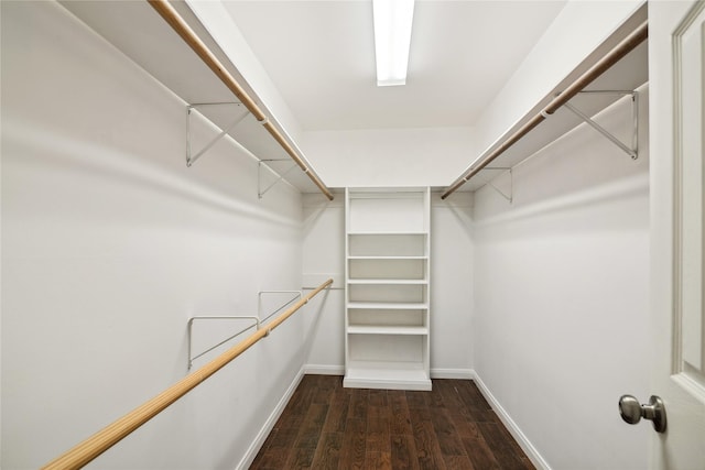 walk in closet with dark hardwood / wood-style floors