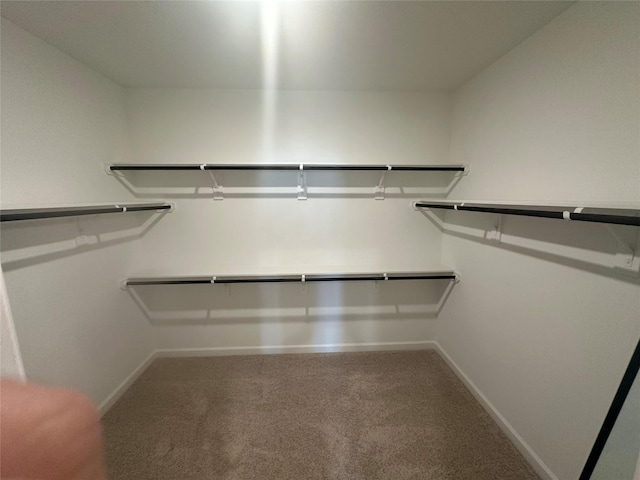 spacious closet with carpet