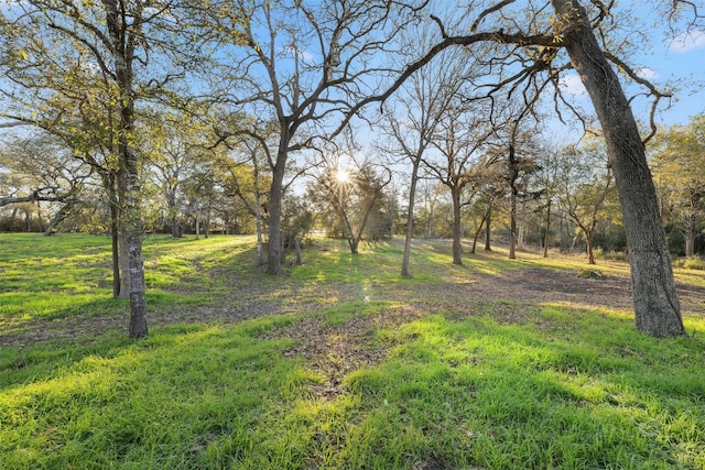 1038 County Road 207th Rd, Weimar TX, 78962 land for sale