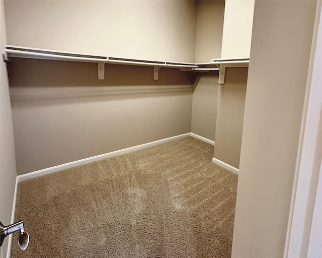 spacious closet with carpet floors