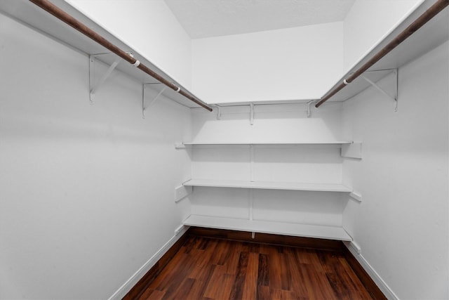 spacious closet with dark wood-type flooring