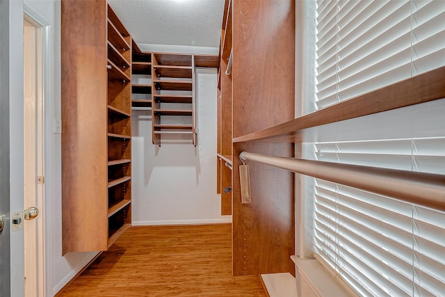 spacious closet featuring light hardwood / wood-style flooring