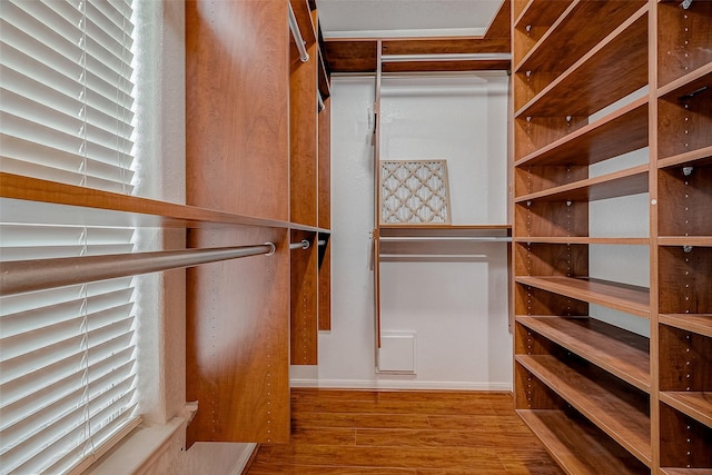 spacious closet with hardwood / wood-style flooring