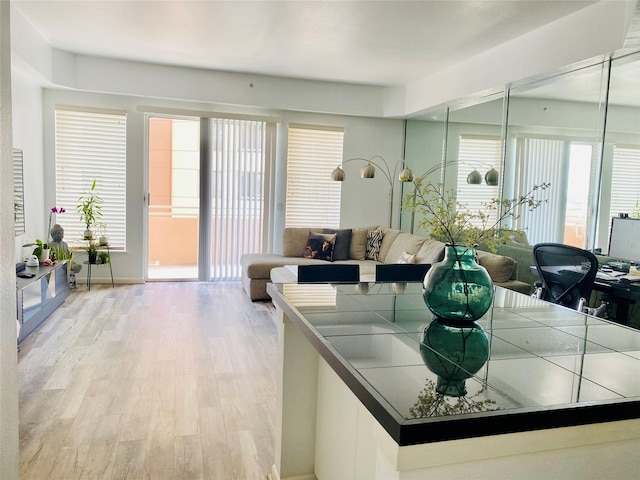 dining space featuring light hardwood / wood-style flooring