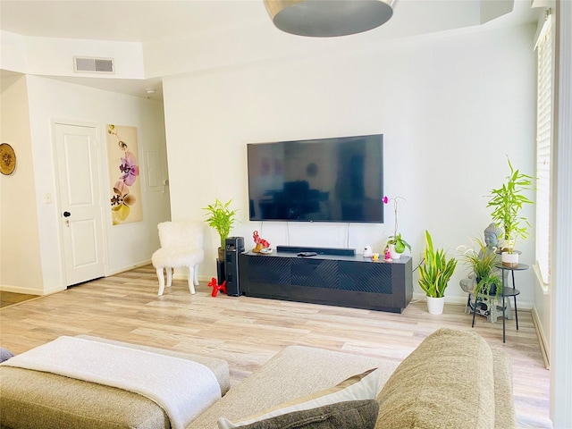 living room featuring wood-type flooring