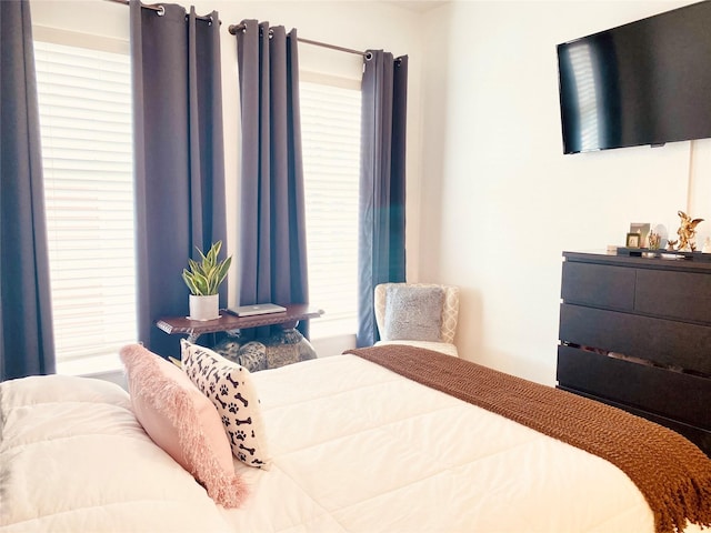 bedroom featuring multiple windows