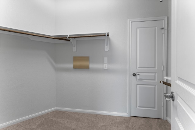 spacious closet with light colored carpet