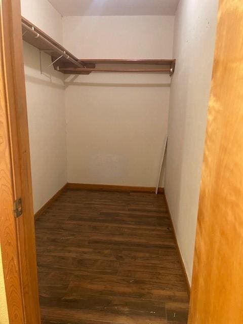 walk in closet featuring dark wood-type flooring