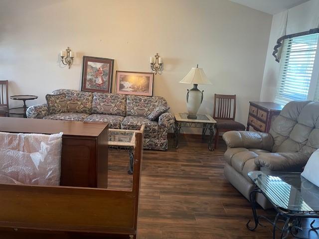 living room featuring dark wood-type flooring